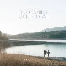 DISC ANDREU VALOR ELS CAMINS QUE ELEGIM