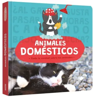 ANIMASCOPIO, ANIMALES DOMESTICOS