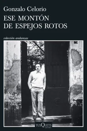 ESE MONTÓN DE ESPEJOS ROTOS