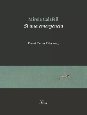 SI UNA EMERGÈNCIA PREMI CARLES RIBA 2023