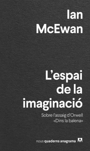 ESPAI DE LA IMAGINACIÓ, L'
