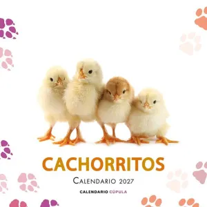 CALENDARIO CACHORROS 2027