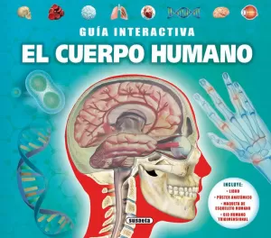 EL CUERPO HUMANO    (GUIA INTE
