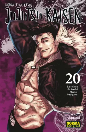 JUJUTSU KAISEN, 20