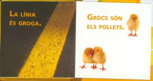 GUIA EXPLORADORS  MOMIES