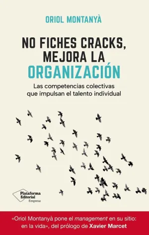 NO FICHES CRACKS, MEJORA LA ORGANIZACION
