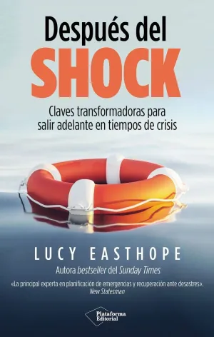 DESPUES DEL SHOCK
