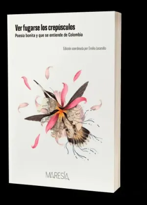 VER FUGARSE LOS CREPUSCULOS